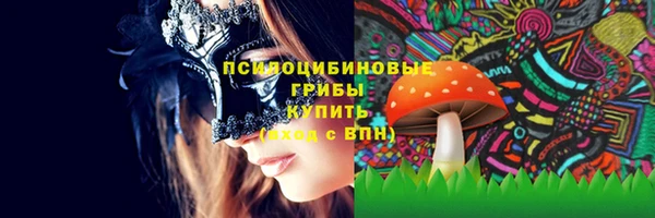 герыч Алексин