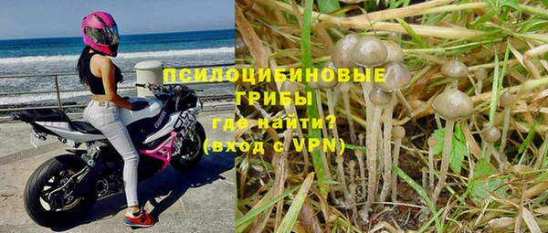 меф Арсеньев