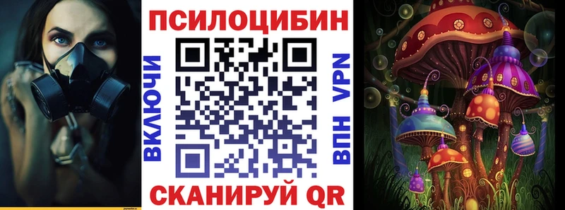 Псилоцибиновые грибы Psilocybine cubensis  купить закладку  Шацк 